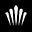 tiara.pages.dev favicon